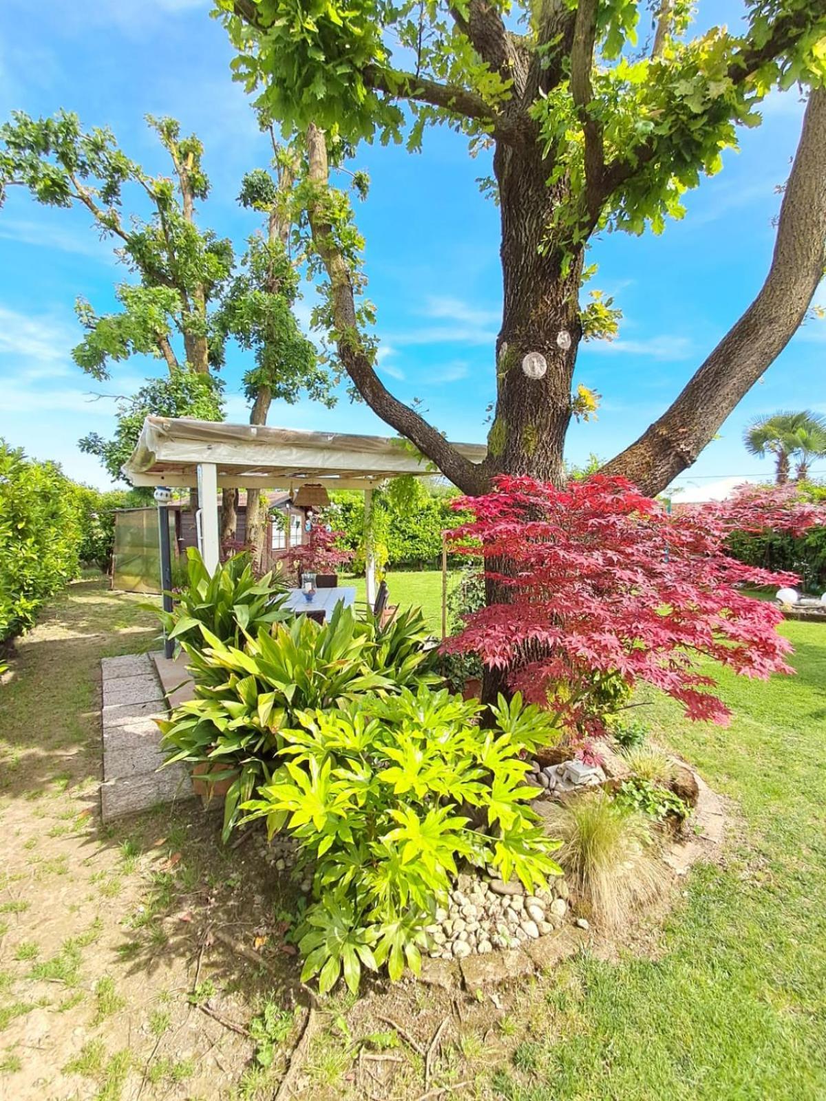 Villa Sabry Turriaco Extérieur photo